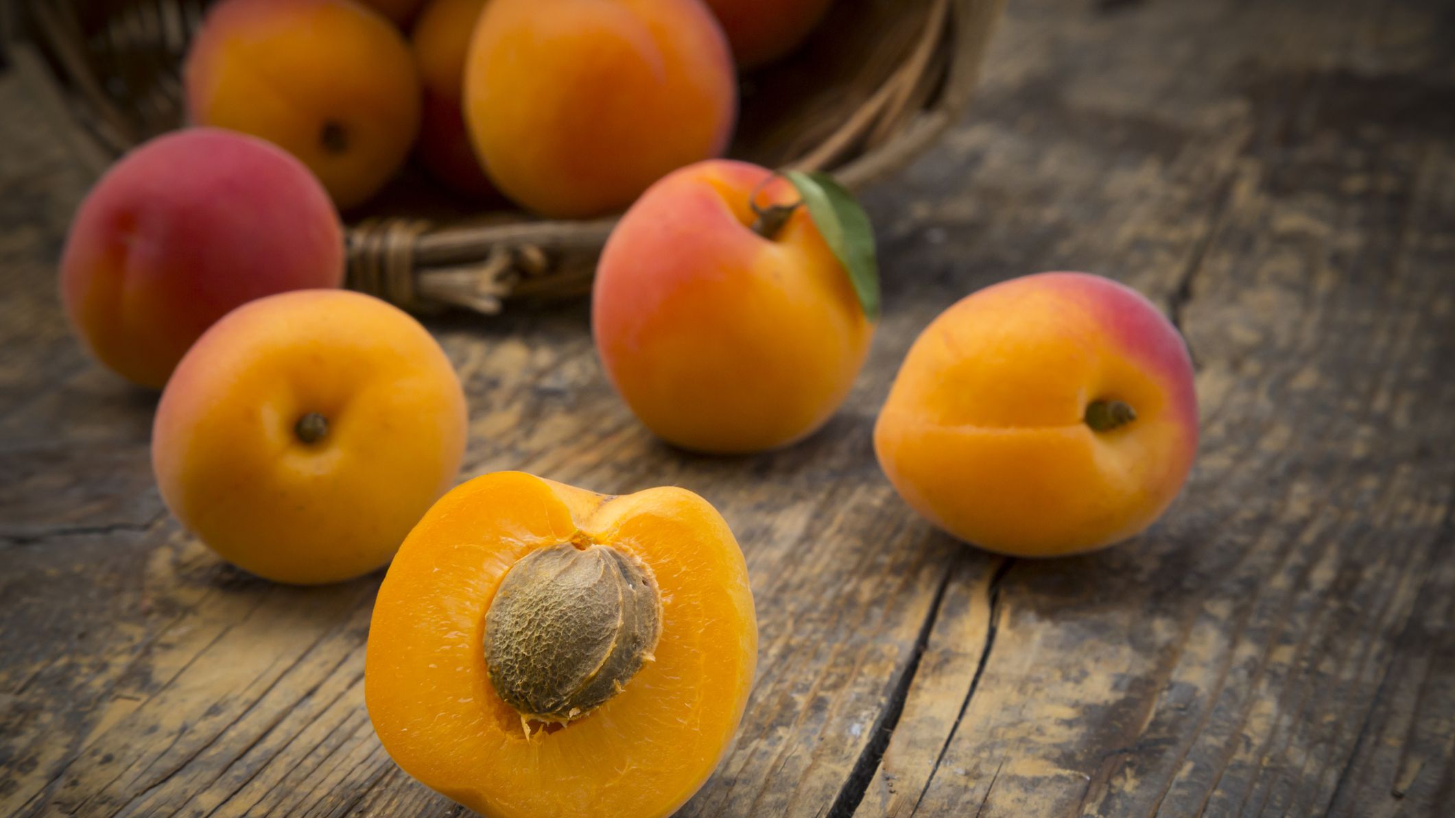 Detail Apricot Image Nomer 12