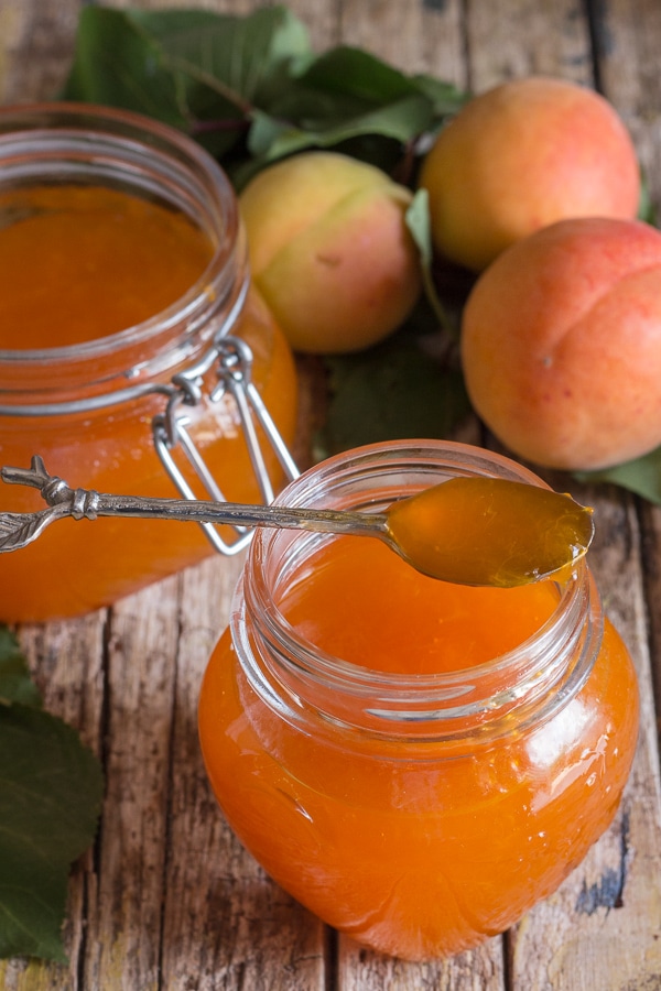 Detail Apricot Image Nomer 32