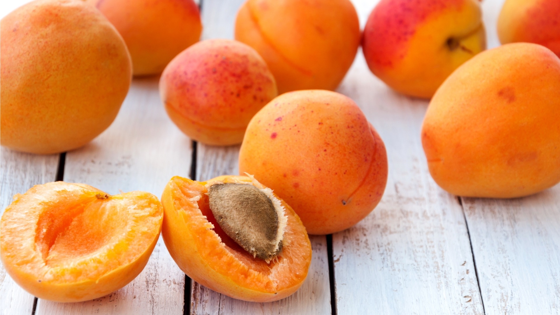 Detail Apricot Image Nomer 39