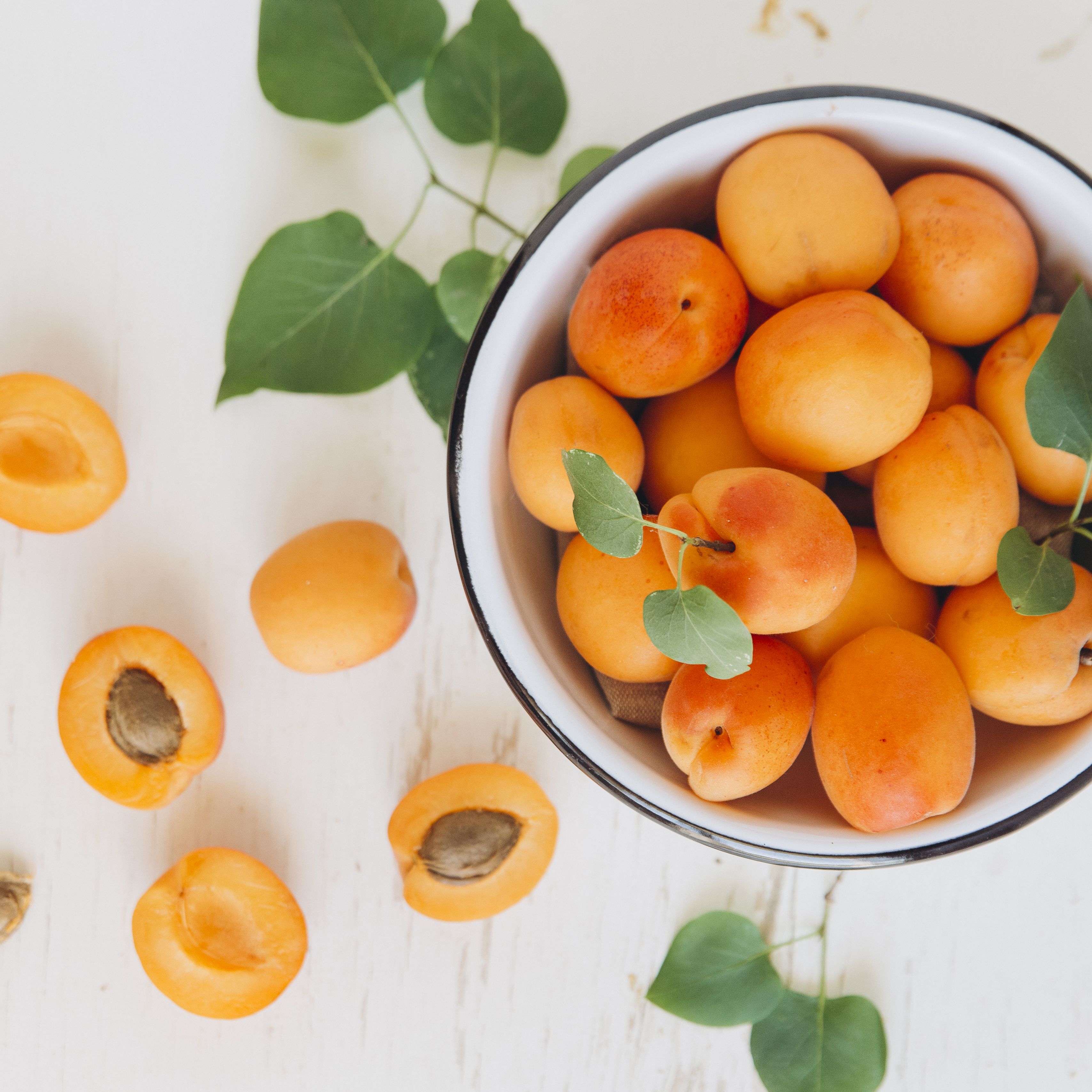 Detail Apricot Image Nomer 42