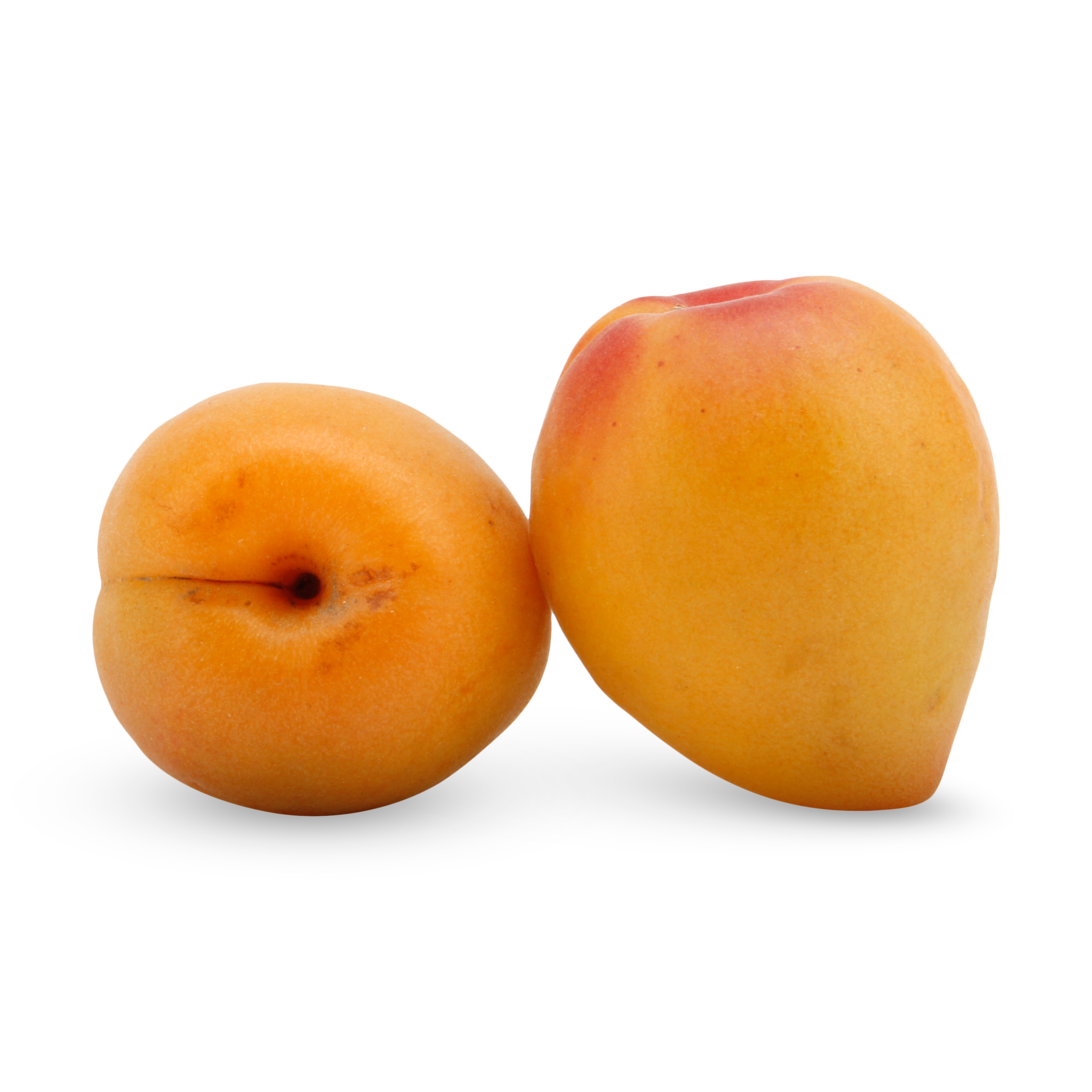 Detail Apricot Image Nomer 46