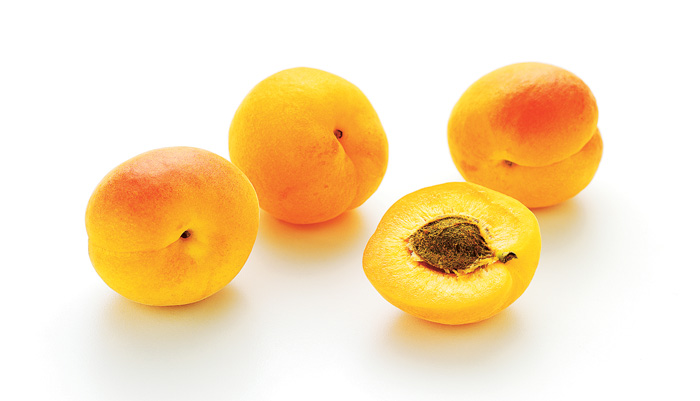 Detail Apricot Image Nomer 49