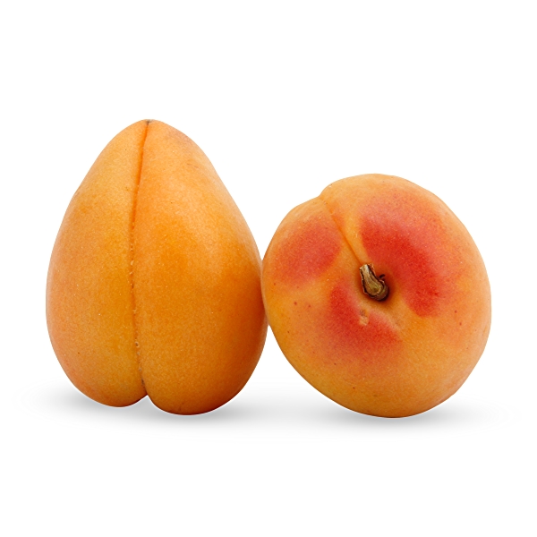 Detail Apricot Image Nomer 52