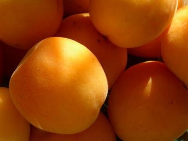Detail Apricot Image Nomer 55