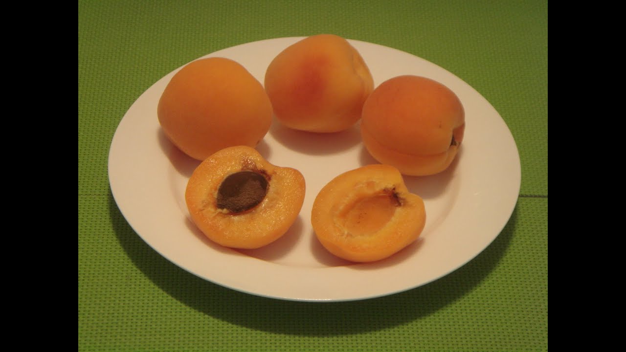 Detail Apricot Image Nomer 56