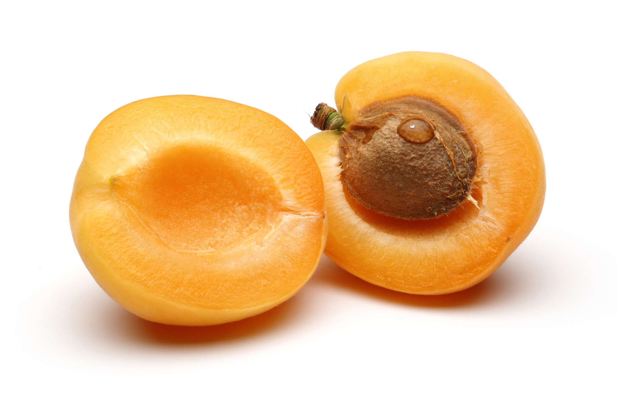 Detail Apricot Image Nomer 57