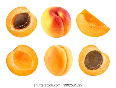 Detail Apricot Images Fruit Nomer 28