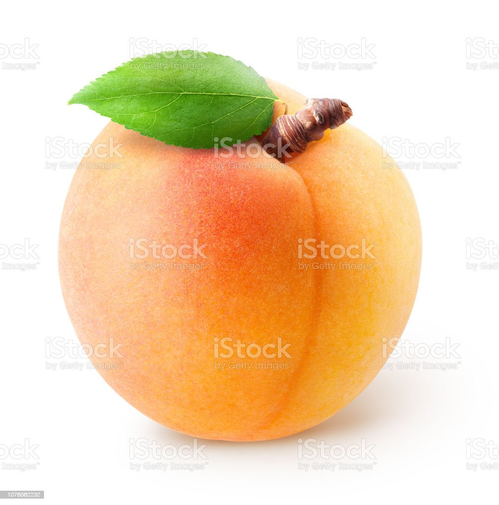 Detail Apricot Images Fruit Nomer 44