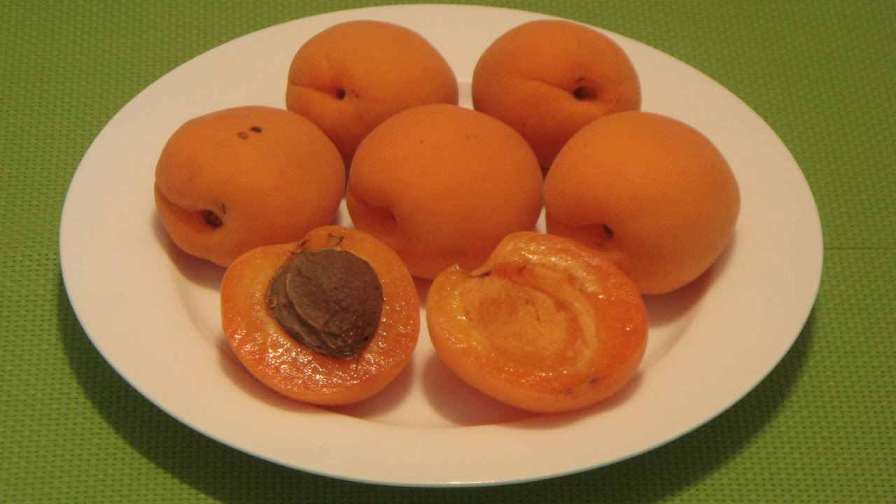 Detail Apricot Images Fruit Nomer 46