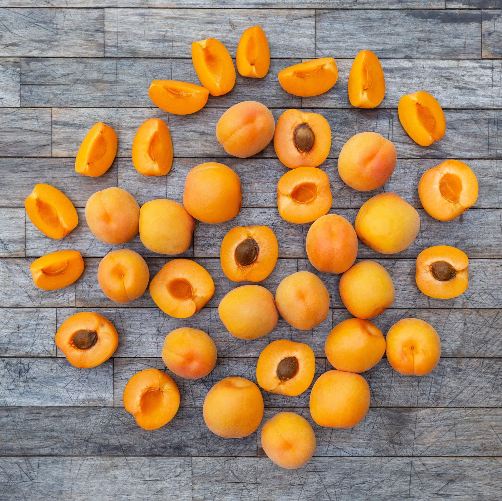 Detail Apricot Images Fruit Nomer 49