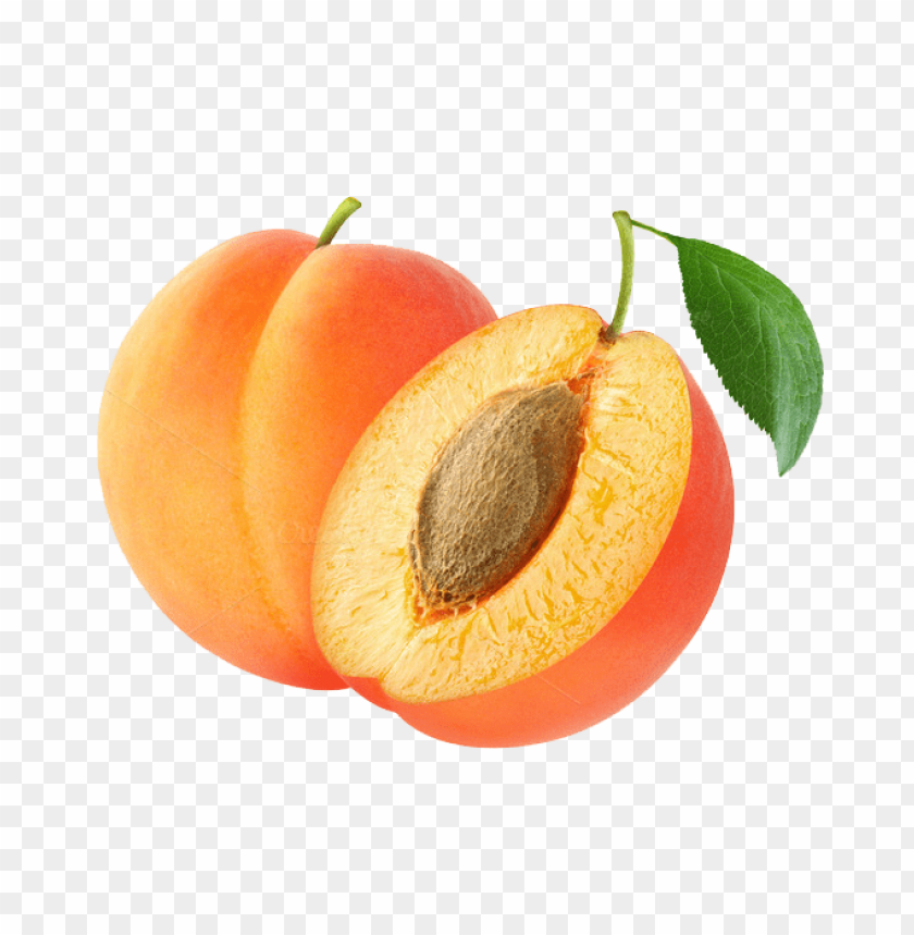 Detail Apricot Png Nomer 3