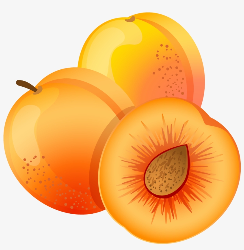 Download Apricot Png Nomer 28