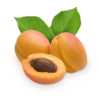 Detail Apricot Png Nomer 4