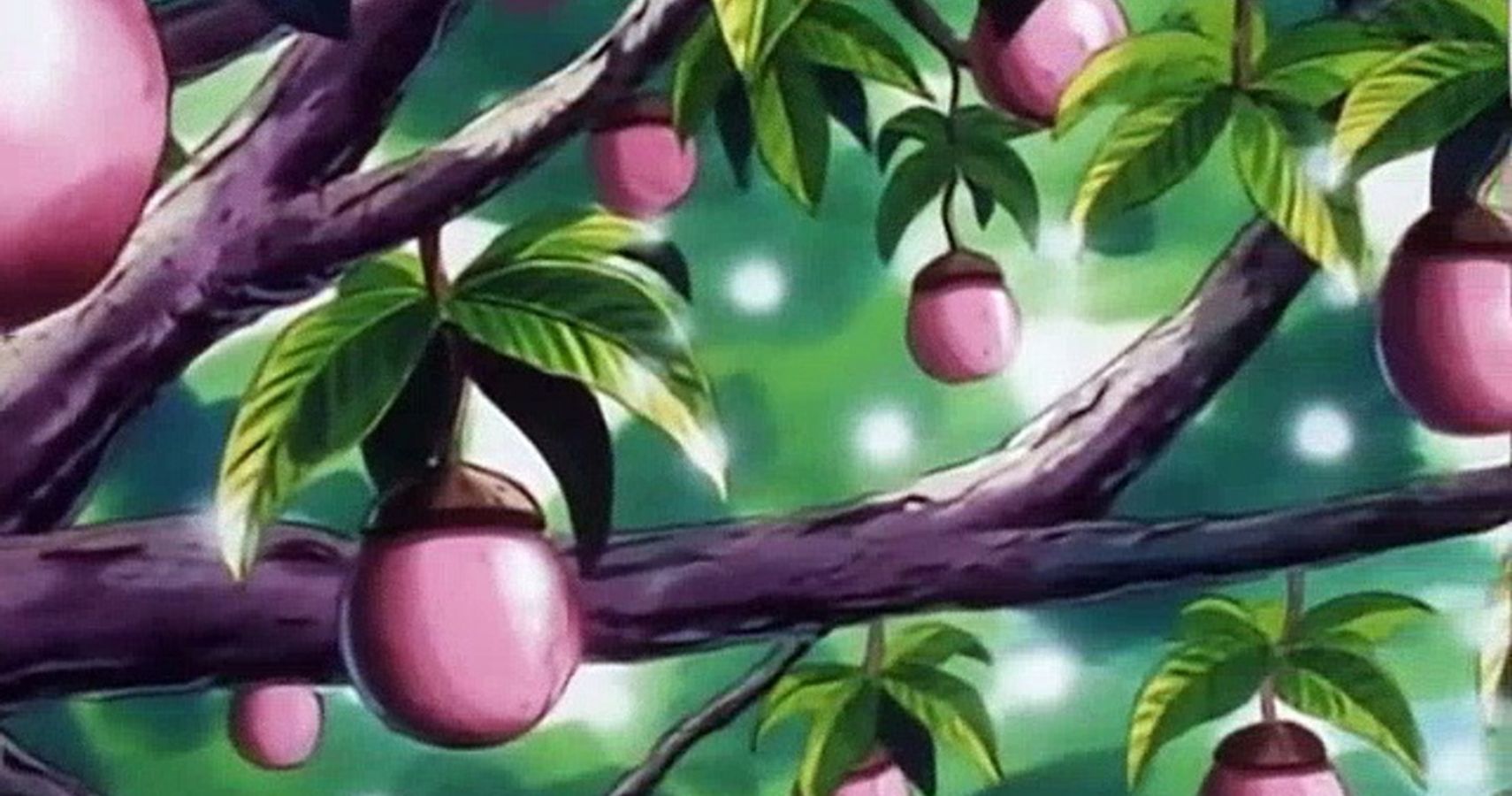 Detail Apricot Pokemon Nomer 31