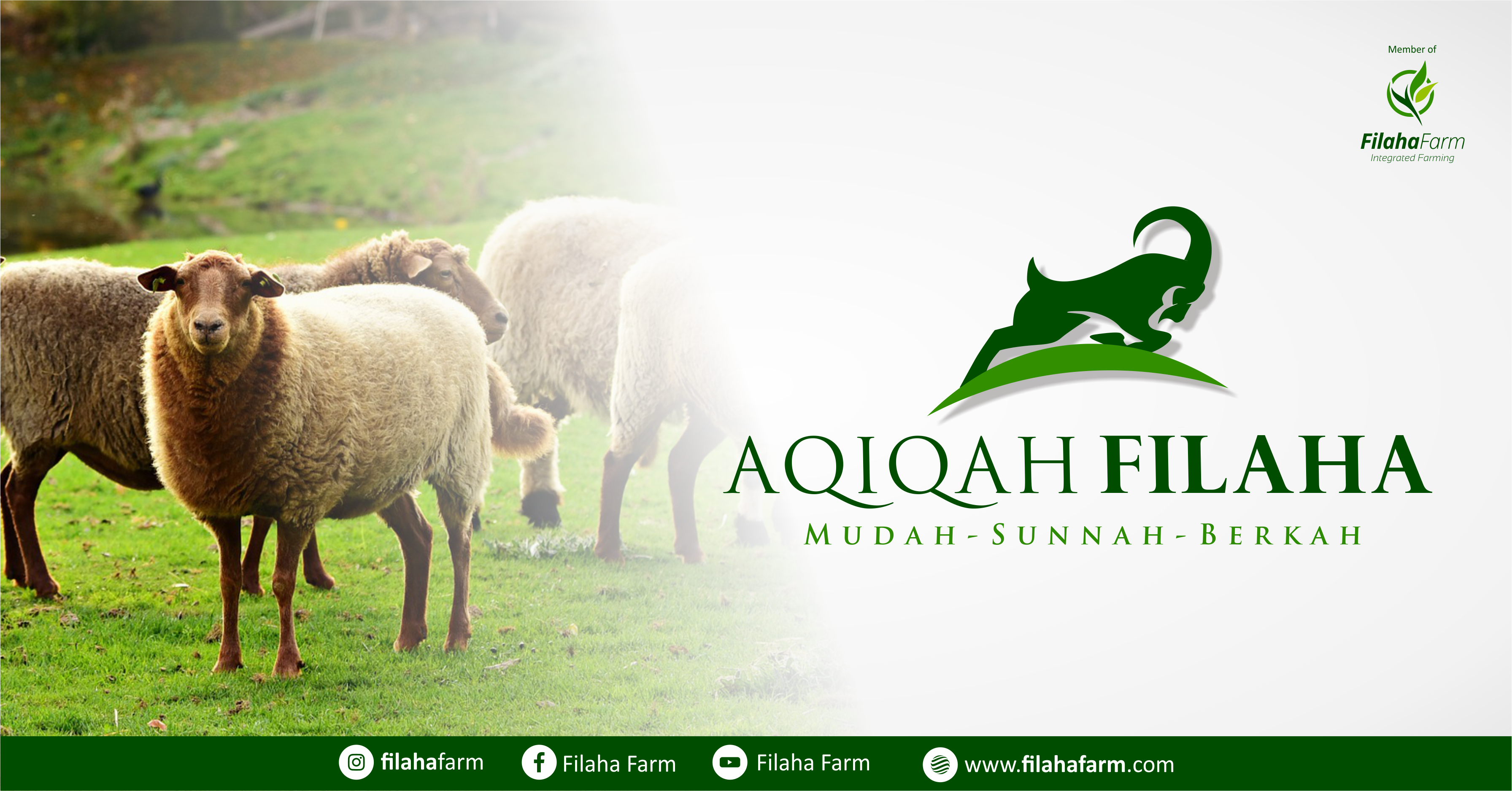 Detail Aqiqah Banner Nomer 32