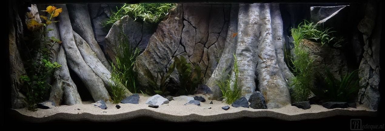 Detail Aquarium 3d Background Nomer 18