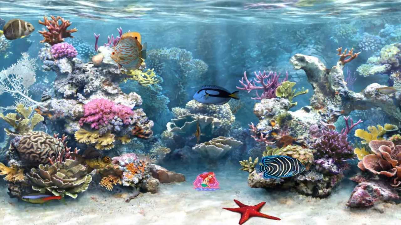 Detail Aquarium Animasi Nomer 21