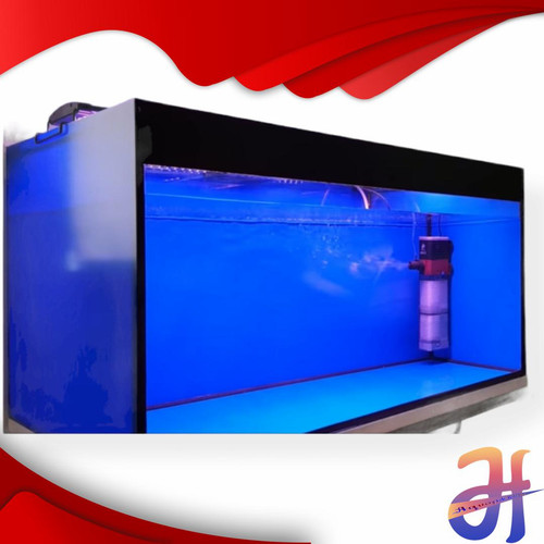 Detail Aquarium Arwana Background Putih Nomer 39