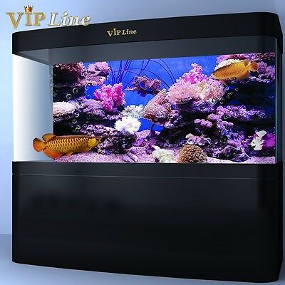 Detail Aquarium Background 72 X 24 Nomer 8