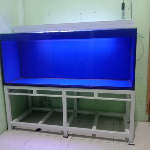 Detail Aquarium Background Biru Nomer 10