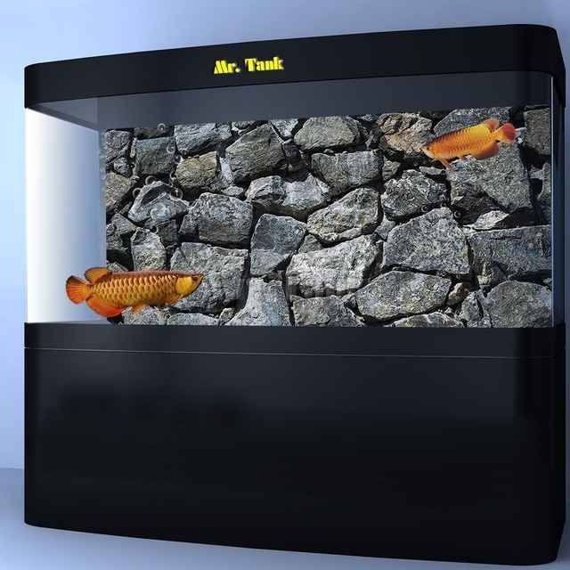 Detail Aquarium Background Hitam Nomer 22