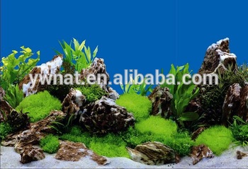 Detail Aquarium Background Hitam Nomer 42