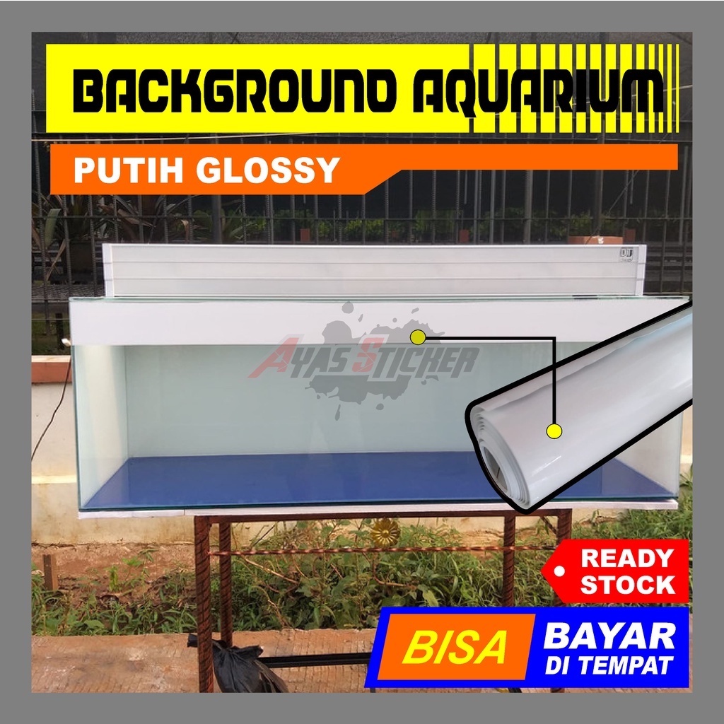 Detail Aquarium Background Putih Nomer 28