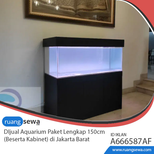 Detail Aquarium Background Putih Nomer 33