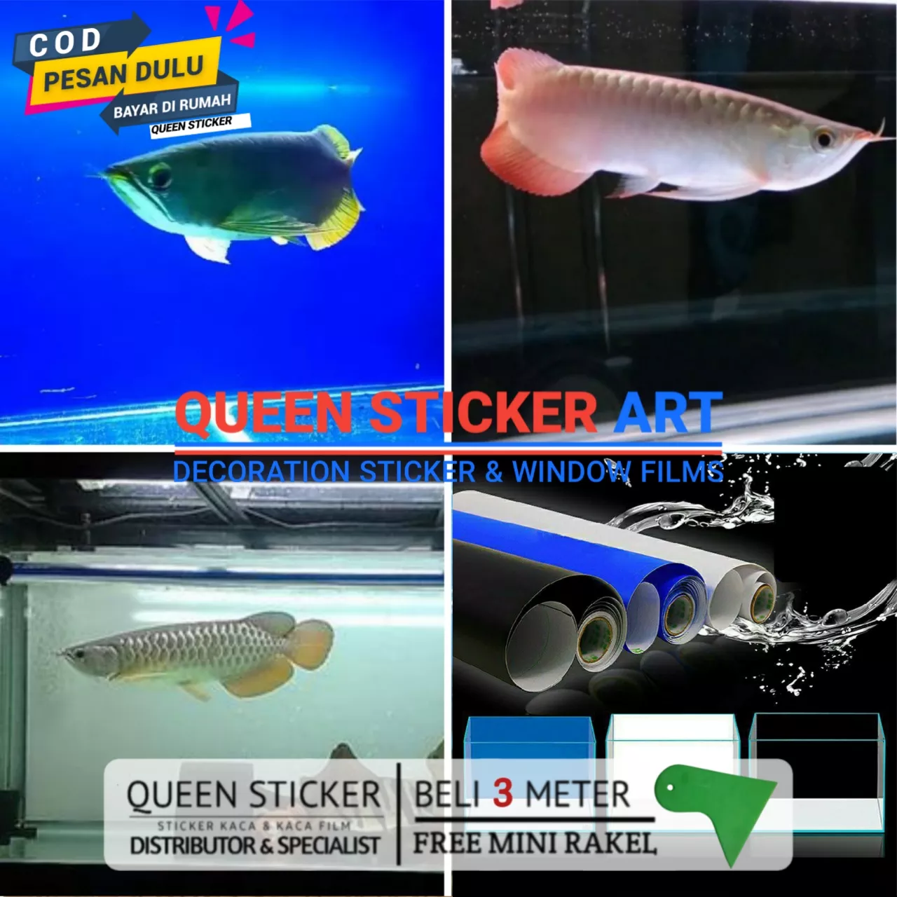 Detail Aquarium Background Putih Nomer 39