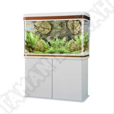 Detail Aquarium Background Putih Nomer 57