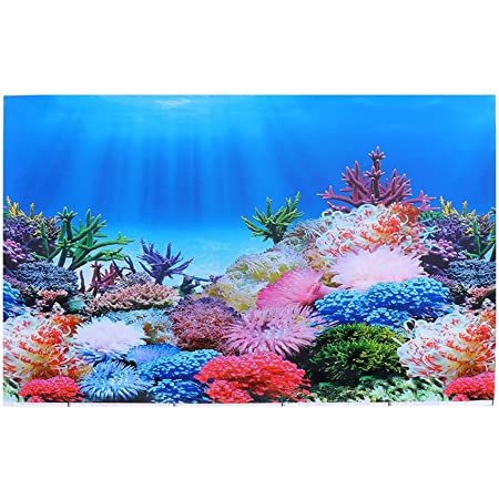 Detail Aquarium Background Stickers Nomer 24