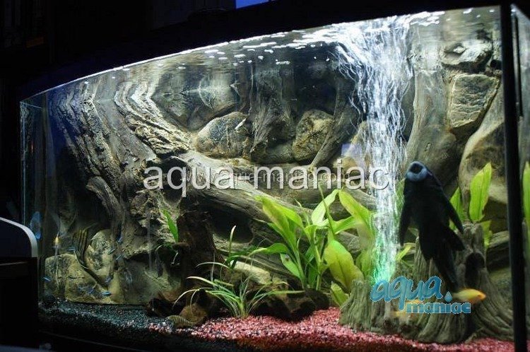 Detail Aquarium Backgrounds Amazon Nomer 13