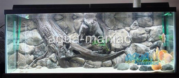 Detail Aquarium Backgrounds Amazon Nomer 30