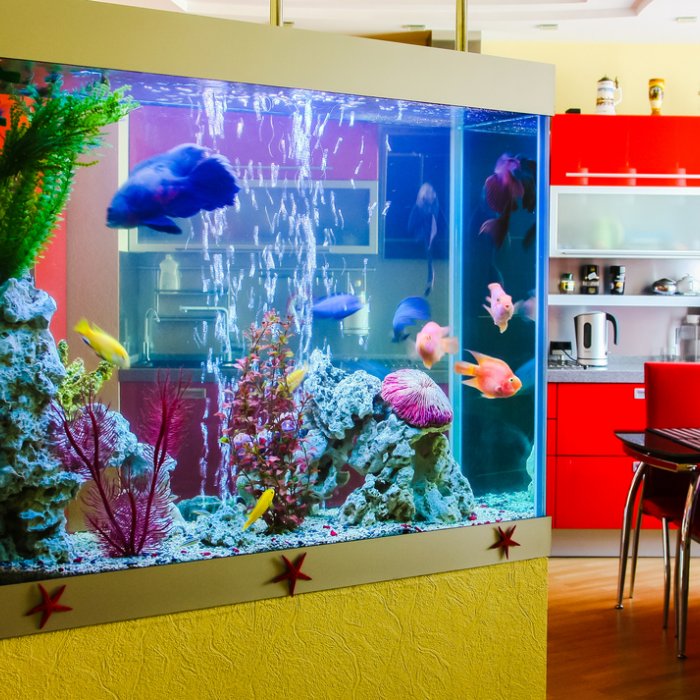 Detail Aquarium Besar Di Dalam Rumah Nomer 22