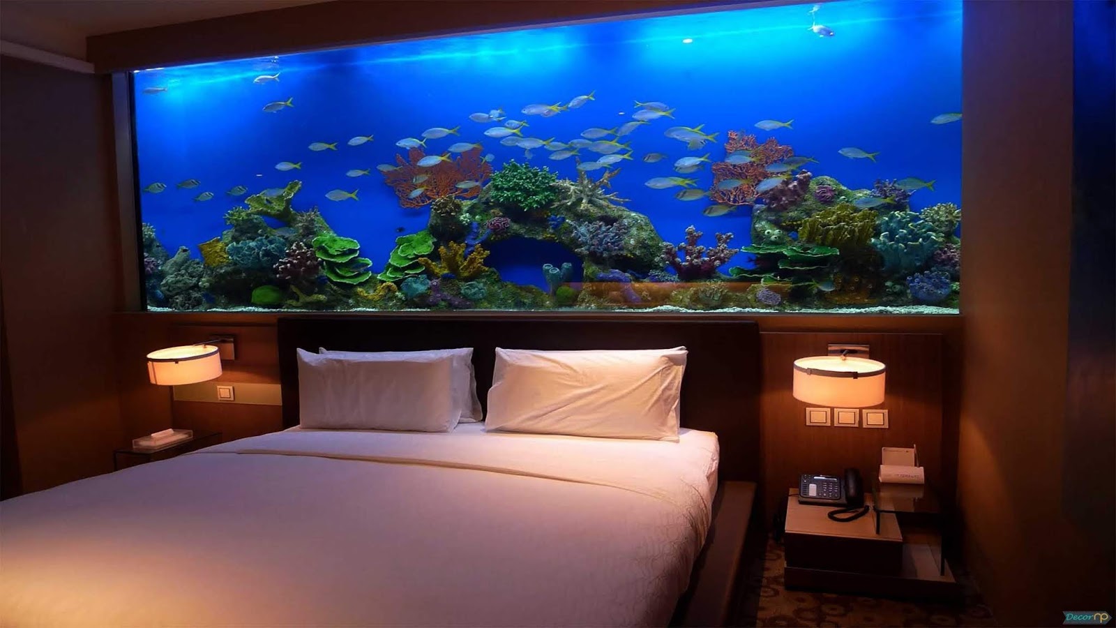 Detail Aquarium Besar Di Dalam Rumah Nomer 39