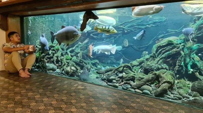 Detail Aquarium Besar Di Dalam Rumah Nomer 8