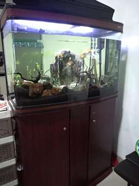 Detail Aquarium Boyu Nomer 37