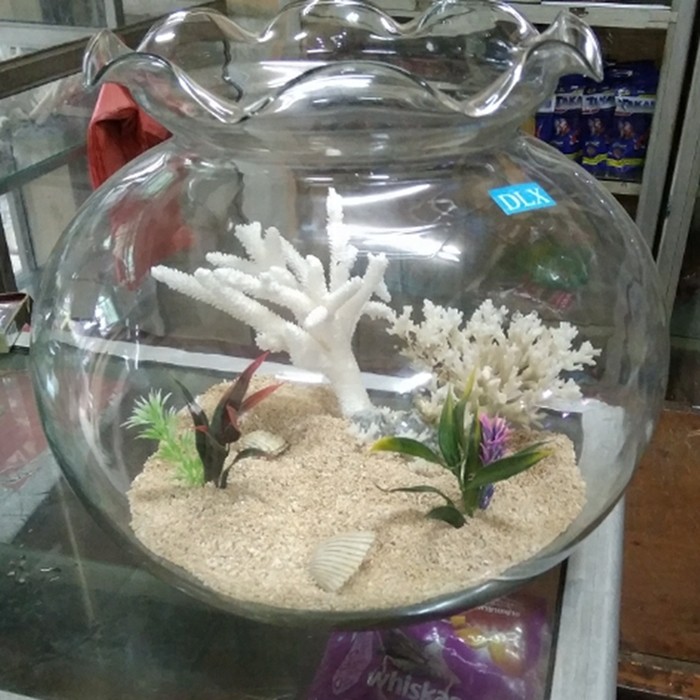 Detail Aquarium Bulat Nomer 13