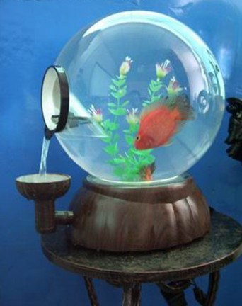 Detail Aquarium Bulat Nomer 52