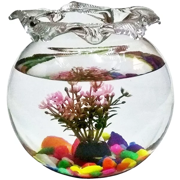 Detail Aquarium Bulet Nomer 41