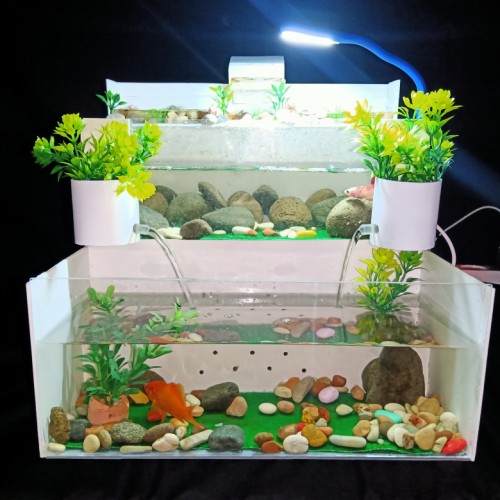 Detail Aquarium Cantik Dan Unik Nomer 11