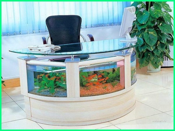 Detail Aquarium Cantik Dan Unik Nomer 34