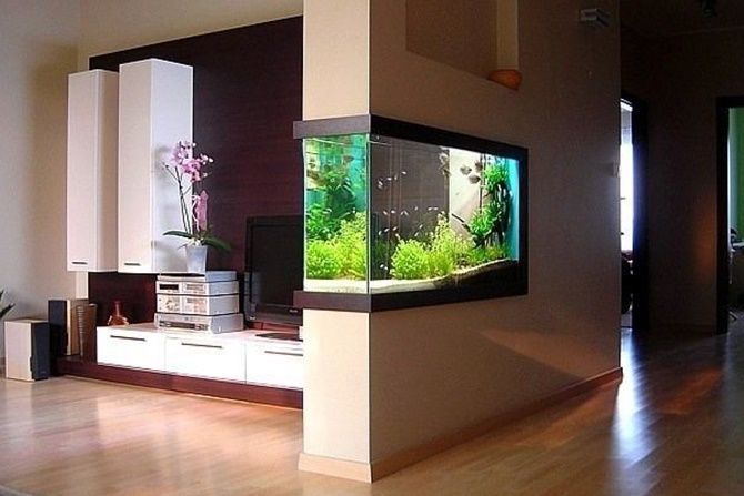 Aquarium Dalam Rumah - KibrisPDR