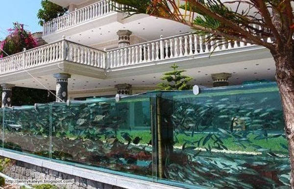 Detail Aquarium Dalam Rumah Nomer 23