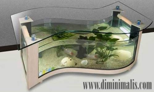 Detail Aquarium Dalam Rumah Nomer 44