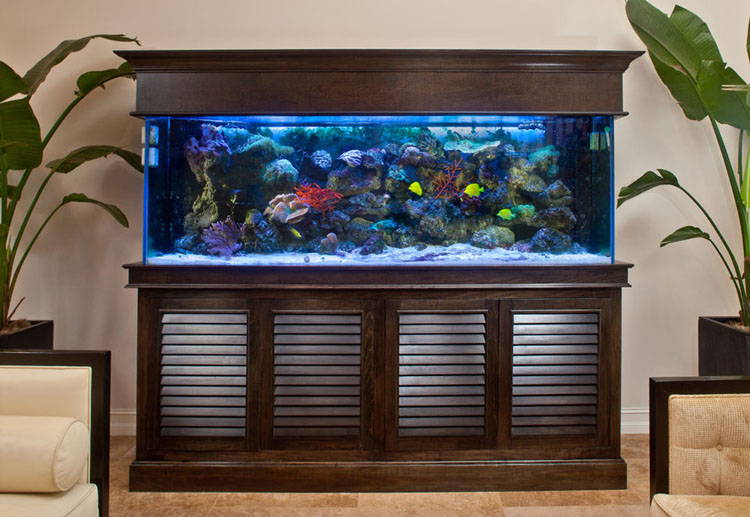 Detail Aquarium Dalam Rumah Nomer 9