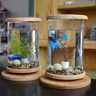 Detail Aquarium Dari Bahan Bekas Nomer 26