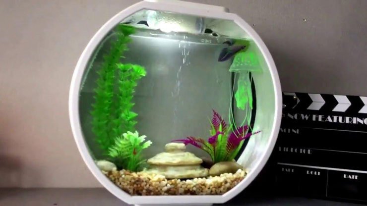 Detail Aquarium Dari Bahan Bekas Nomer 45