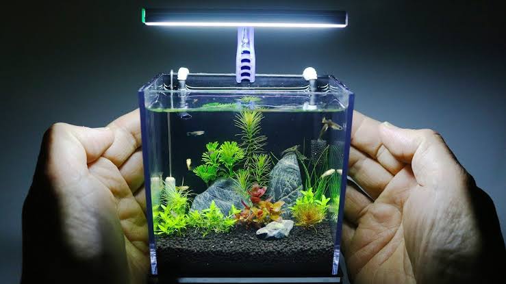 Detail Aquarium Dari Bahan Bekas Nomer 48