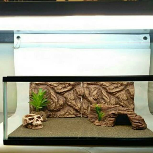 Detail Aquarium Dari Gabus Nomer 56